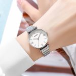 কোডঃ WL85sw; Simple corporate watch