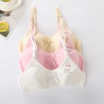 কোডঃ brYB; Young Bra - Image 2